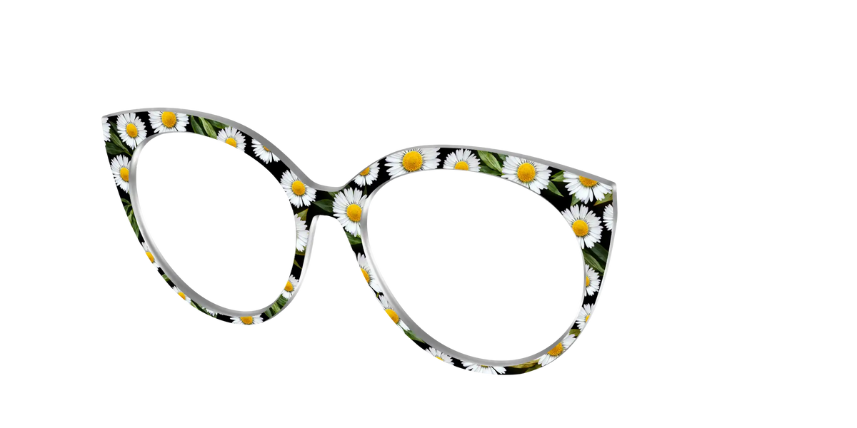 The Delicate Daisies