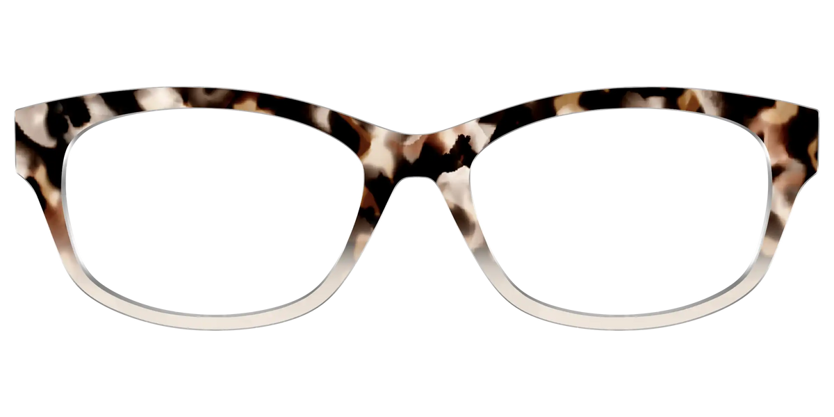 The Vanilla Latte Tortoise