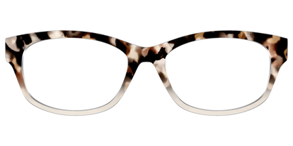 The Vanilla Latte Tortoise