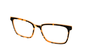 The Pumpkin Camo Pearl Tortoise