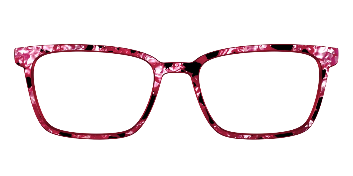 The Raspberry Pearl Tortoise