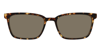 The Polarized Tortoise Sun Top