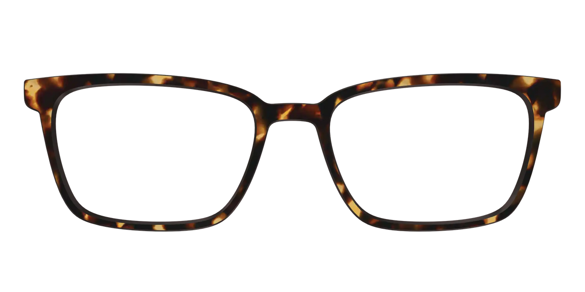 The Tortoise