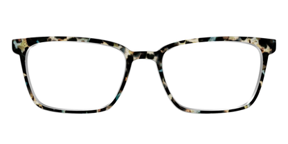 The Tumbled Teal Tortoise