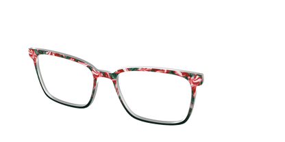 The Wintermint Tortoise