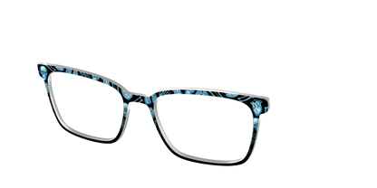 The X-Ray Vision