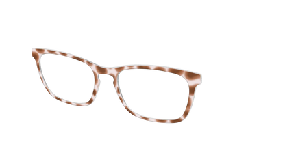 The Caffé Tortoise