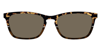 The Polarized Chic Tortoise Split Sun Top