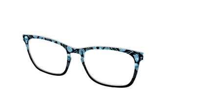 The X-Ray Vision