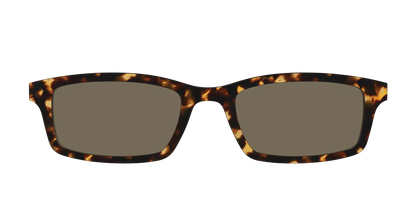 The Non-Polarized Tortoise Sun Top