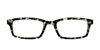 The Tumbled Teal Tortoise