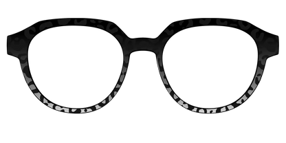 The Black Cheetah