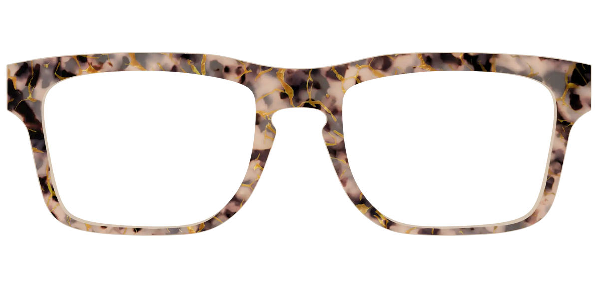 The Almond Tortoise with Gold Streaks