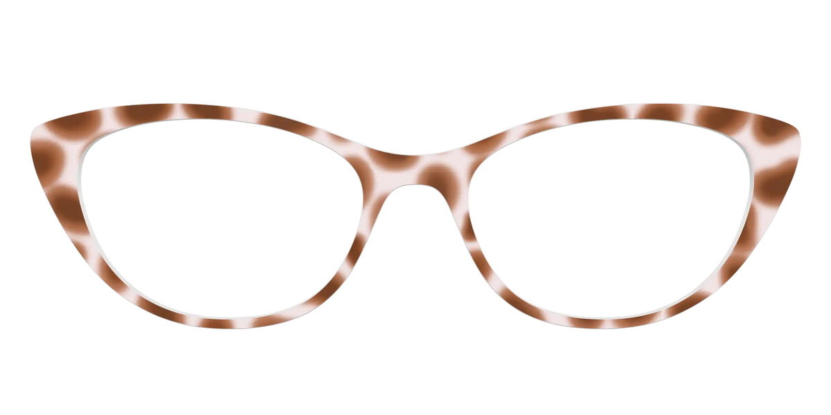 The Caffé Tortoise