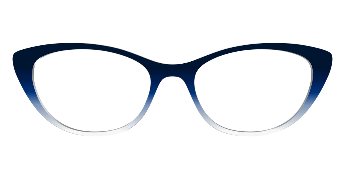 The Navy to White Gradient