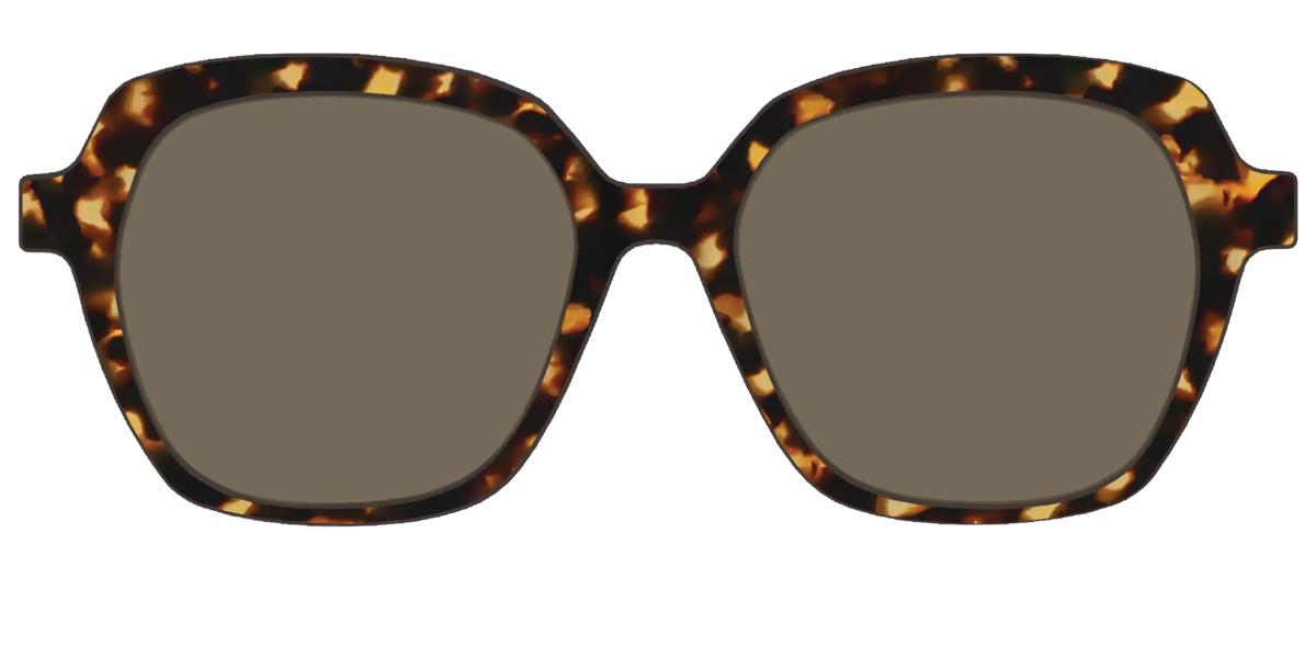 The Non-Polarized Tortoise Sun Top