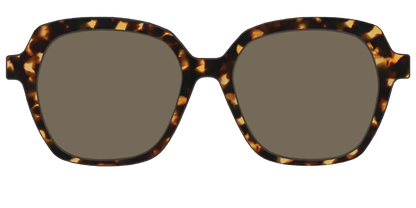 The Non-Polarized Tortoise Sun Top
