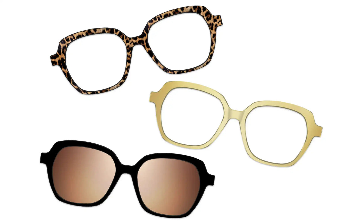 Vintage Brown Tortoise with Gold Set