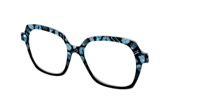 The X-Ray Vision
