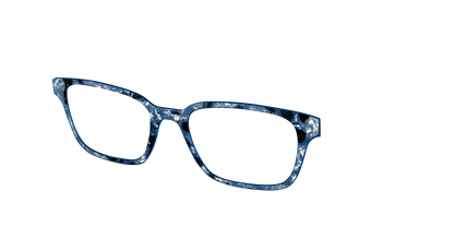 The Midnight Blue Pearl Tortoise