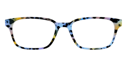 The Positano Tortoise