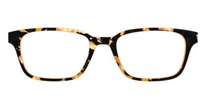 The Pumpkin Camo Pearl Tortoise