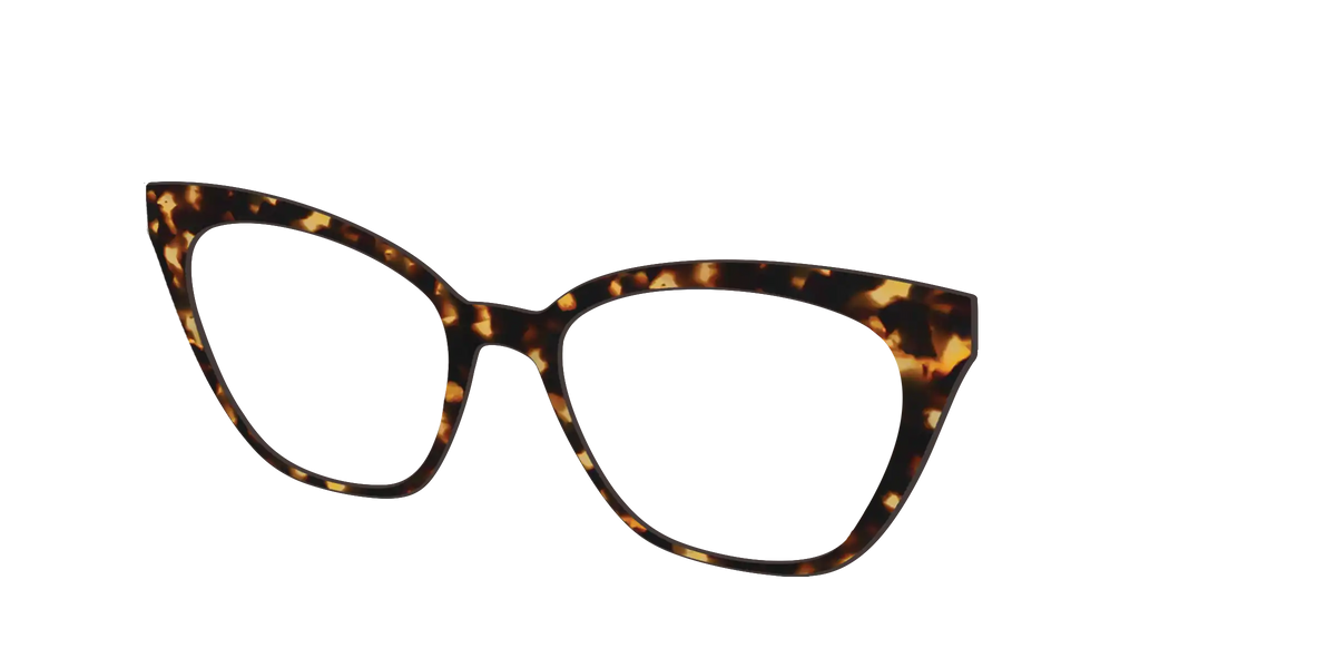 The Tortoise