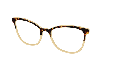 The Amber Tortoise Crystal Split