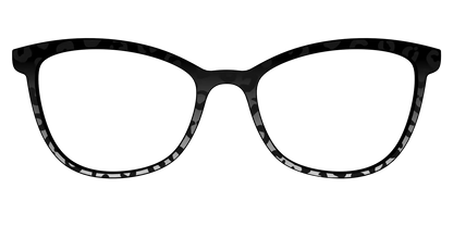 The Black Cheetah