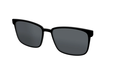 The Polarized Black Sun Top