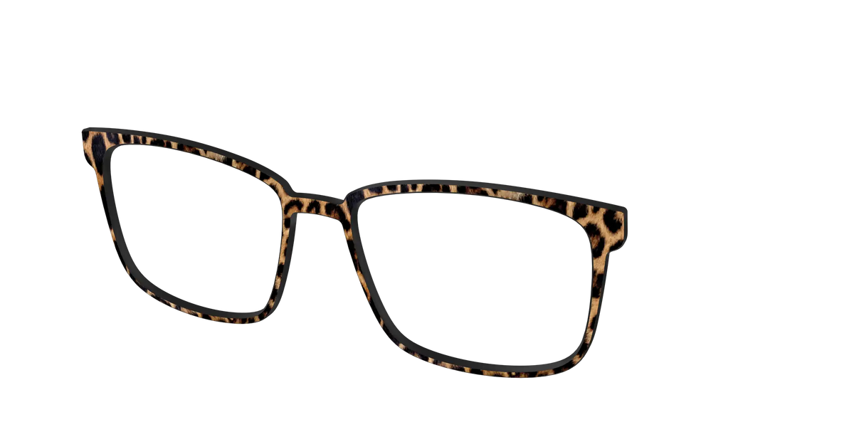 The Cheetah Spots