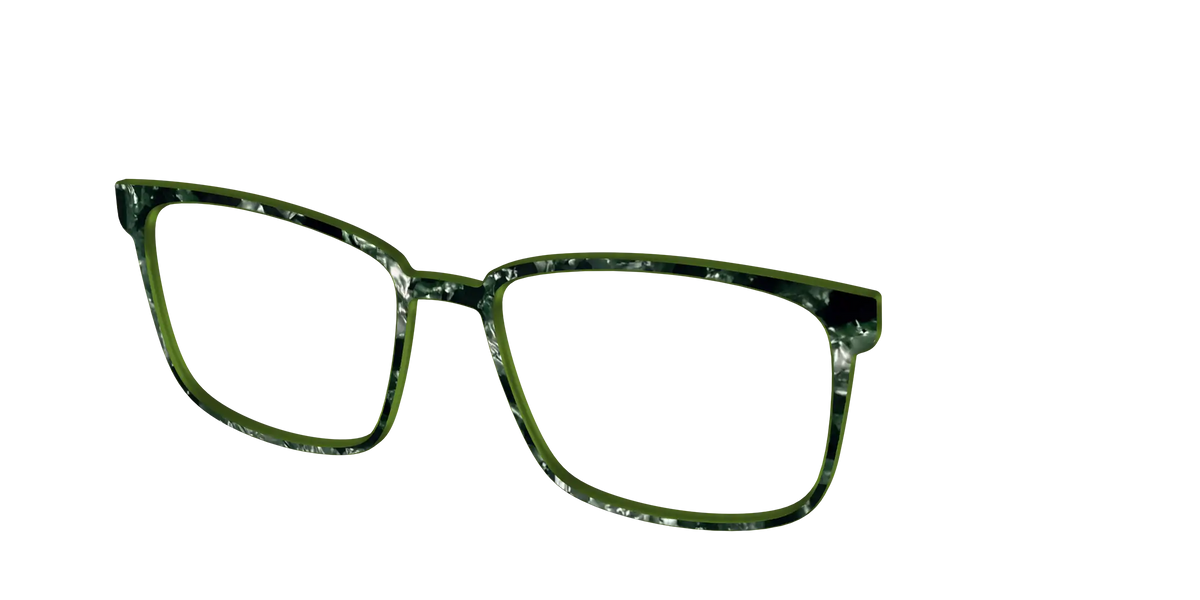 The Olive Pearl Tortoise