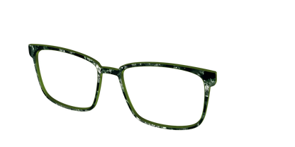 The Olive Pearl Tortoise