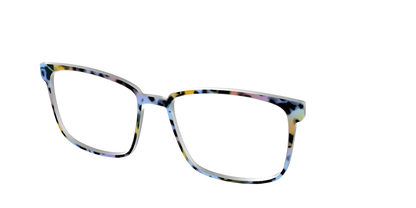 The Positano Tortoise