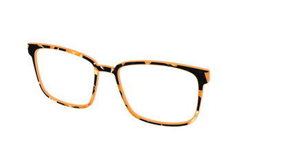 The Pumpkin Camo Pearl Tortoise