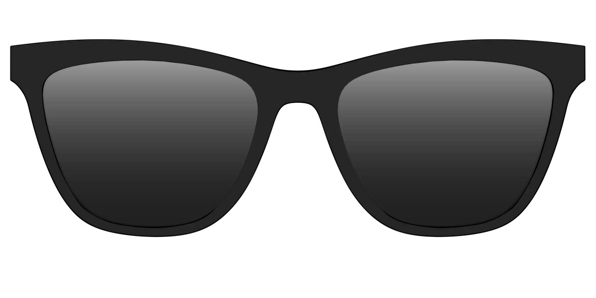 The Polarized Black Sun Top