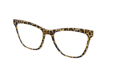 The Cheetah Spots