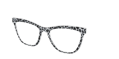 The Snow Leopard Spots