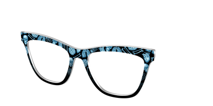 The X-Ray Vision