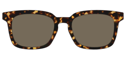 The Non-Polarized Tortoise Sun Top