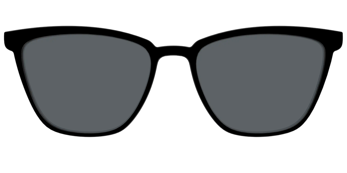 The Polarized Black Sun Top