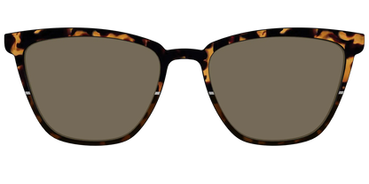 The Polarized Chic Tortoise Split Sun Top