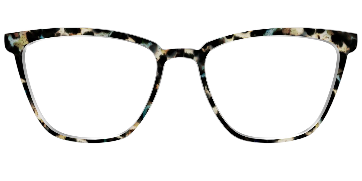 The Tumbled Teal Tortoise