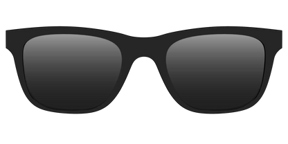 The Polarized Black Sun Top