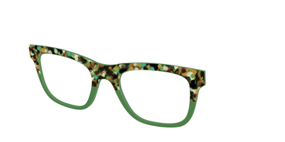 The Forest Tortoise Crystal Split