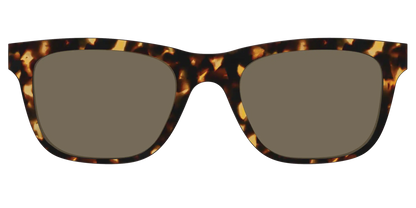 The Non-Polarized Tortoise Sun Top