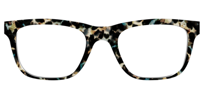 The Tumbled Teal Tortoise