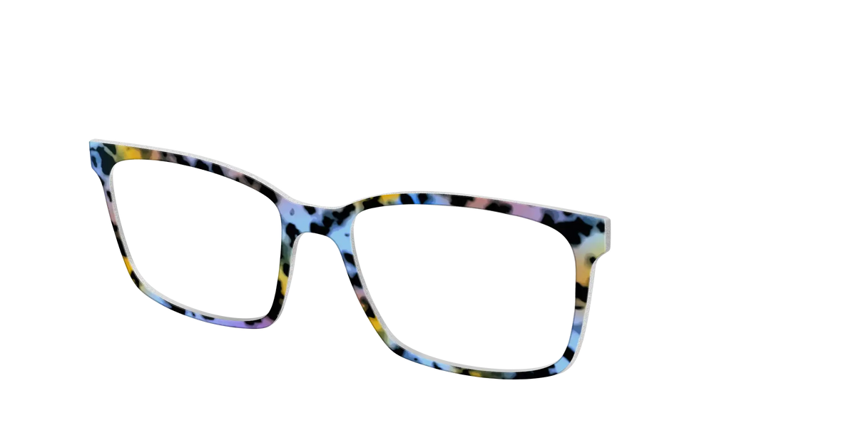 The Positano Tortoise