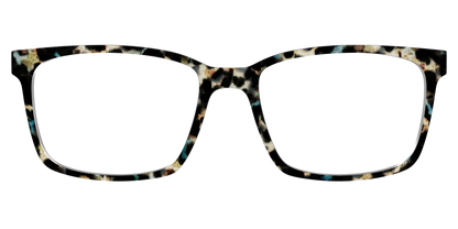 The Tumbled Teal Tortoise
