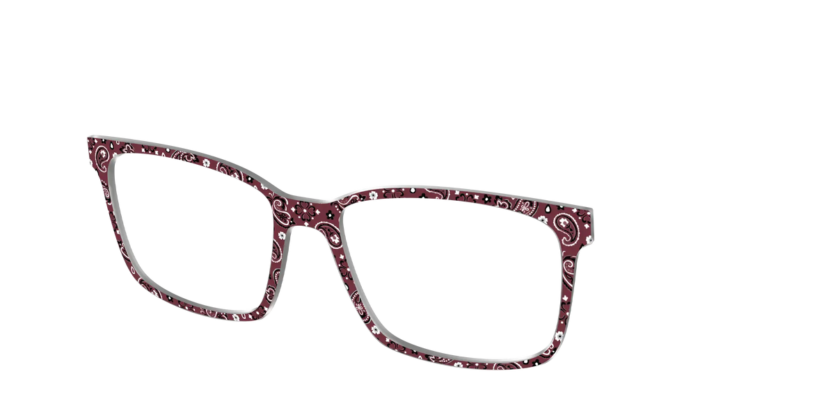 The Western Paisley